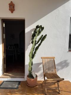 Los jardines de Zahora C01 - Cádis - 9
