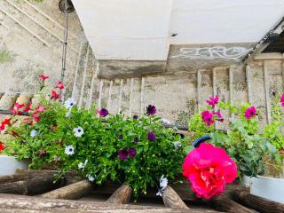 Charming apartment with Alhambra view - Granada - 5