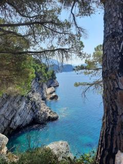 MiNa Apartments - Petrovac - 5