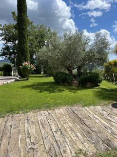 Villa Diletta - Mantignana - 2