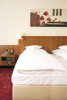 Waldhotel Nachtigall - Paderborn - 8