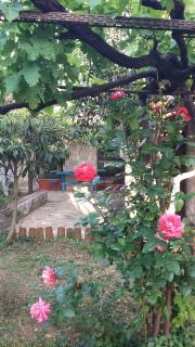 Apartments Rolovina - Tivat - 5