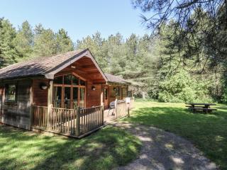 Birch Lodge - Swadlincote - 9