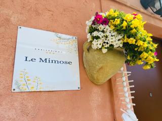 Le Mimose - Ventimiglia - 9