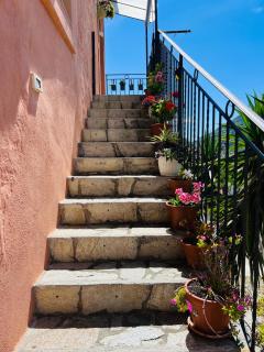 Le Mimose - Ventimiglia - 7