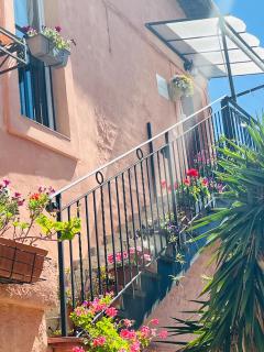 Le Mimose - Ventimiglia - 8
