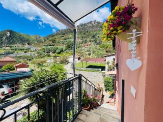 Le Mimose - Ventimiglia - 6