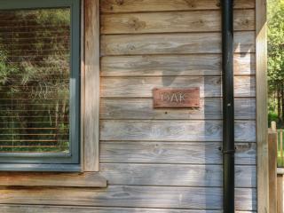 Oak Lodge - Swadlincote - 9