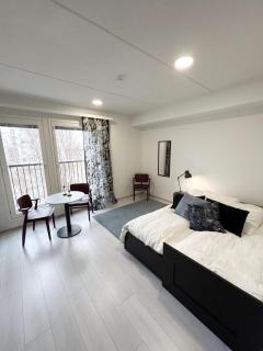 Bright apartment along the river - Oulu - 0