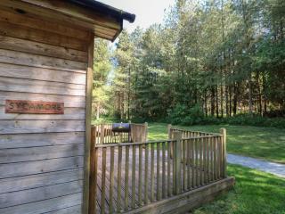 Sycamore Lodge - Swadlincote - 8