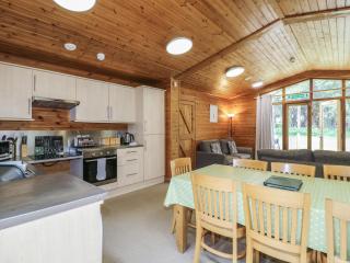 Sycamore Lodge - Swadlincote - 4