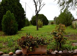 Casa Carletto, Abruzzo - Bellante - 8