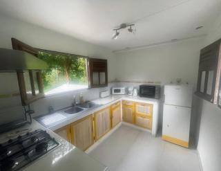 Villa nature tropicale, route de Fontaine Didier - 7