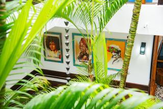 Central Hotel Boutique - Las Galeras - 6