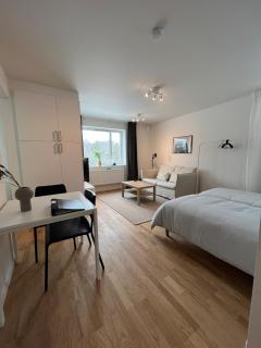 Studio apartment in Gothenburg - Gothenburg - 0