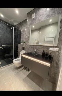 AIRPORT HOTEL APARTAMENTS & TAXI ViP - Chişinău - 2