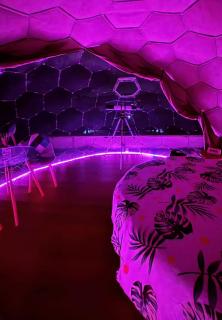 Bubble World Wild Love - Adelfia - 7