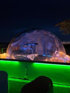 Bubble World Wild Love - Adelfia - 9
