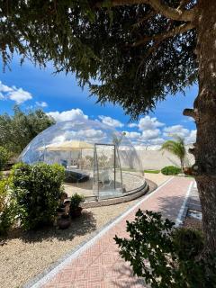 Bubble World Wild Love - Adelfia - 1