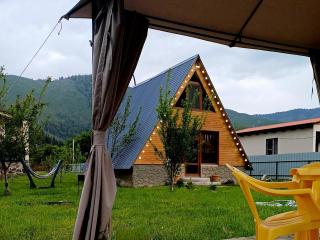 Forest hut - Bordschomi - 0