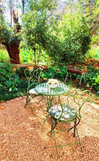 Willowlea Cottage - Underberg - 6