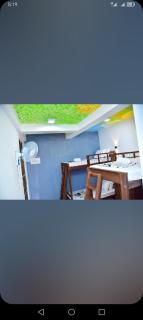 Young wild home stay - Ella - 5
