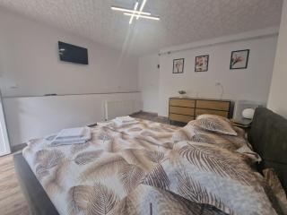 Pensiunea Beatrice - 5