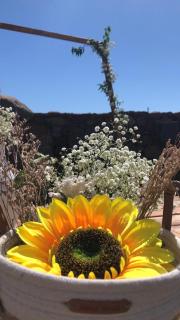 Agriturismo Iloghe - 6