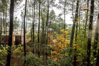 Luxury Glamping Tree House in Galicia, Spain, with Private Outdoor Hot Tub - A Coruña - 4