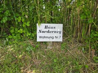 Ferienhaus Norderny direkt am Deich, Fledderweg 8 in Norddeich - Norden - 4