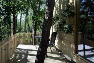 Secluded and Elegant Tree House in the Forests of Galicia, Spain - A Coruña - 7