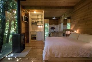 Secluded and Elegant Tree House in the Forests of Galicia, Spain - A Coruña - 2