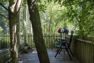 Secluded and Elegant Tree House in the Forests of Galicia, Spain - A Coruña - 1