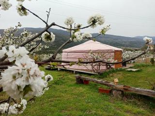 Authentic Mongolian Yurt for Spiritual Getaways in Spain - Casas del Castañar - 5