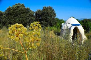 Ecological Dome Structure with a Natural Pool for a Glamping Getaway near Madrid, Spain - Fresnedilla - 4