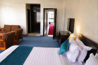 Platinum Hotel - Addis Ababa - 4