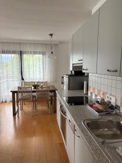 Villa Mayr - Villach - 9
