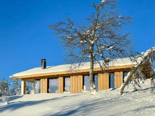 Modern Cabin By The Ski Trails At Fagerhøy - 0