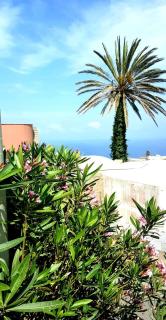 Dammuso Le Stelle - Pantelleria - 6