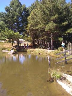 Rancho do Lago - Alfredo Wagner - 0