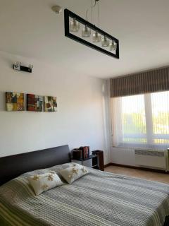 Oasis Resort&Spa Lozenets 1 bed ROZ - Lozenets - 3