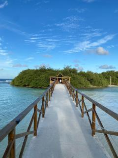 Tropika Beach Thulusdhoo - 4