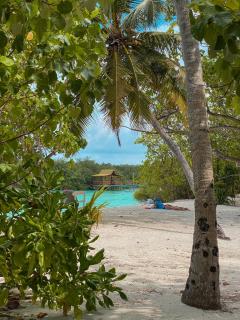Tropika Beach Thulusdhoo - Thulusdhoo - 2
