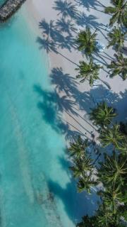 Tropika Beach Thulusdhoo - 6