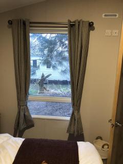 Beautiful Caravan With Decking And Free Wi-Fi At Broadland Sands Ref 20372Bs - Hopton on Sea - 1