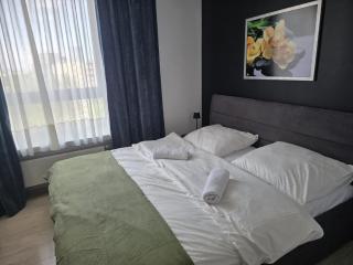 WB2 Wyrafinowany luksusowy apartament w centrum - Varsóvia - 9