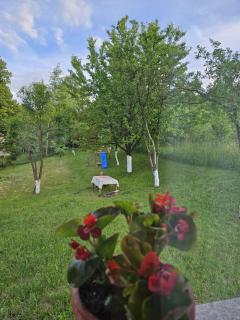 Amaya Home Sarajevo - Vogošća - 1