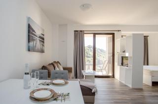 Spacious Parus apartments in Rafailovici - Rafailovici - 5