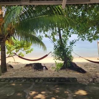 Coral Reef Holidays - Isola di Tioman - 3