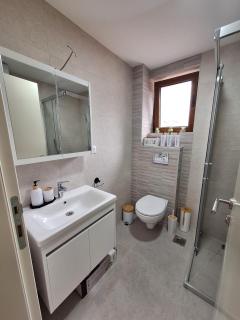 Duma Apartmani 2 Vrnjačka Banja - Vrnjačka Banja - 1